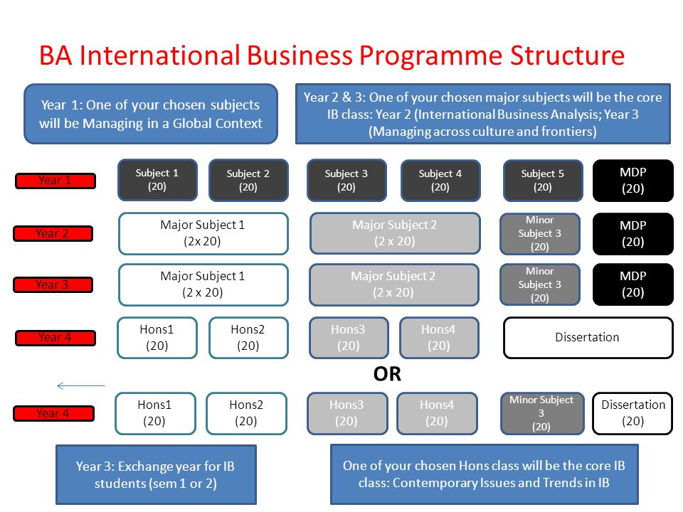 dissertation ba international business